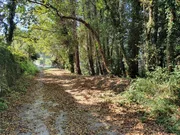 Finca en venta en presa del rey, narón