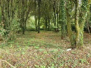 Finca en venta en presa del rey, narón