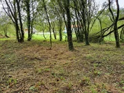 Finca en venta en presa del rey, narón