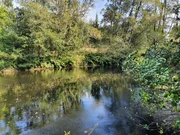 Finca en venta en presa del rey, narón