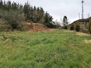 Casa de piedra para restaurar y con finca en san sadurnino, san sadurniño