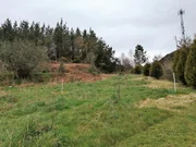 Casa de piedra para restaurar y con finca en san sadurnino, san sadurniño