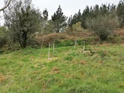 Casa de piedra para restaurar y con finca en san sadurnino, san sadurniño