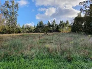 Casa con finca en san saturniño