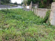 Finca edificable en presa del rey, narón