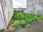 Solar edificable en neda, neda