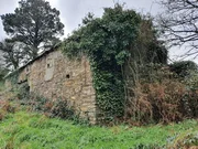 Para rehabilitar en xentoso, monfero