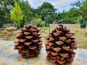 Casa con Bodegas y Finca en A Coruña, Mugardos