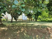 Parcela urbanizable en maniños, fene