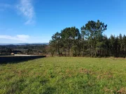 Casa con finca y bodega en sedes, narón