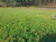 Casa con finca y bodega en sedes, narón