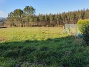 Casa con finca y bodega en sedes, narón
