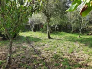 Casa de piedra con anexos en as pontes de garcía rodrígues, as pontes de garcía rodrígues