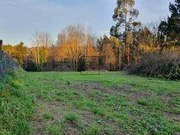 Finca edificable en caamouco-ares