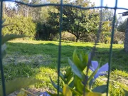 Casa para reformar en A Bedoxa