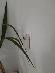 Piso con Garaje en Zona Centro Ferrol – foto 40