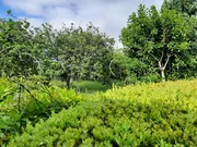 Casa adosada con finca edificable para reforma integral en la zona de santa cecilia, narón