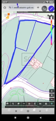 Finca edificable cabañas