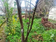 Casa con finca edificable en canido-ferrol