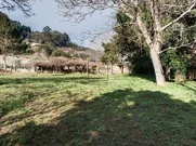 Finca Edificable Campolongo-Pontedeume