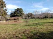 Finca Edificable Campolongo-Pontedeume