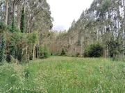 Casa en cedeira, campo del hospital