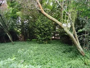 Casa con finca en san juan, ferrol