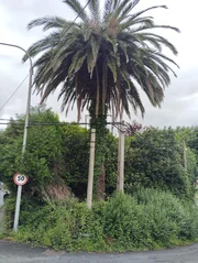 Casa con finca en san juan, ferrol