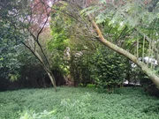 Casa con finca en san juan, ferrol