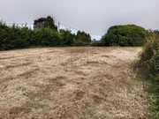 Casa independiente con finca