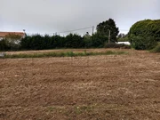 Casa independiente con finca