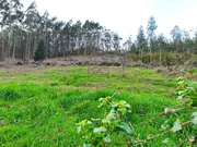 Casa con garaje, patio y finca en cedeira