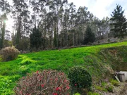 Casa con garaje, patio y finca en cedeira