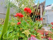 Casa con molino en freixeiro, narón