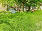 Casa con molino en freixeiro, narón