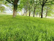 Casa con molino en freixeiro, narón