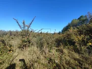 Terreno Urbano Industrial