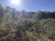 Terreno Urbano Industrial