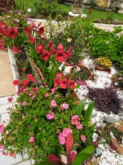 Dos viviendas en neda, con finca y aparcamiento