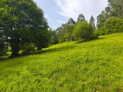 Casa de piedra con hórreo y finca en san sandurniño