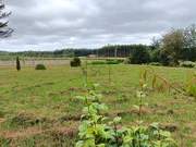 Casa con amplia parcela en sequeiro, valdoviño