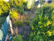 Dos viviendas independientes con finca en ferrol