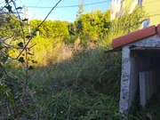 Dos viviendas independientes con finca en ferrol