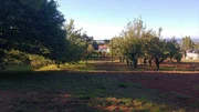 Finca urbana en franza-mugardos