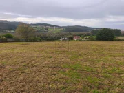 Finca edificable en pantin, valdoviño