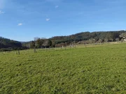 Casa para rehabilitar y gran finca en san román, cedeira