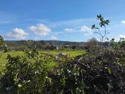Casa para rehabilitar y gran finca en san román, cedeira
