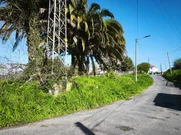 Finca edificable en Barallobre, Fene. – foto 15