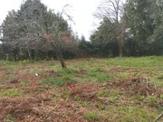 Casa para rehabilitar en cabañas