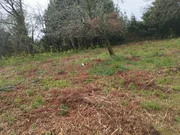 Casa para rehabilitar en cabañas